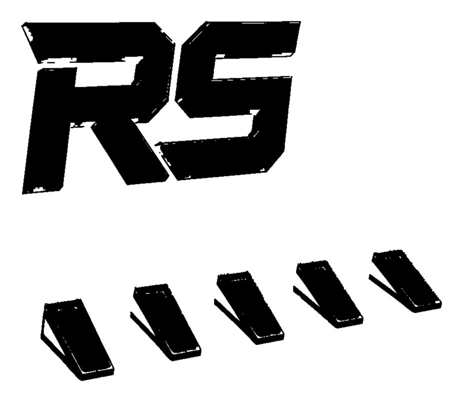 RS-logo-noir-transparent